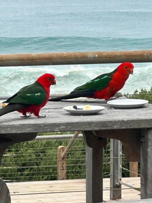 14 Whitecrest Great Ocean Road - Ocean View *